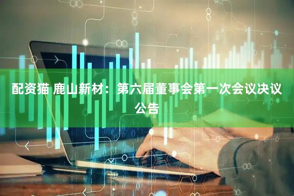 配资猫 鹿山新材：第六届董事会第一次会议决议公告