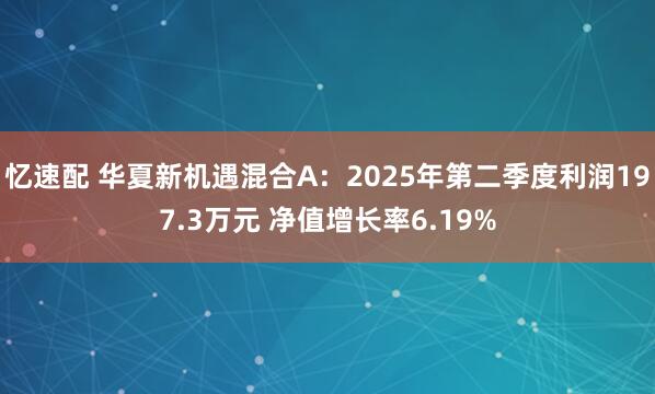 忆速配 华夏新机遇混合A：2025年第二季度利润197.3万元 净值增长率6.19%