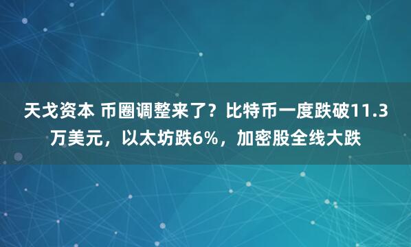 天戈资本 币圈调整来了？比特币一度跌破11.3万美元，以太坊跌6%，加密股全线大跌