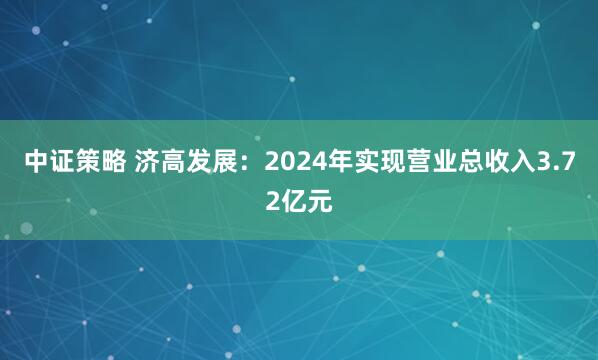 中证策略 济高发展：2024年实现营业总收入3.72亿元